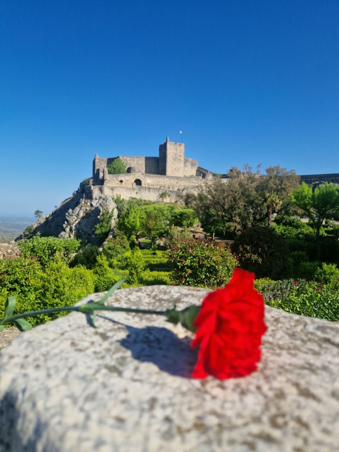 Liberdade, Sempre!

Os 52 anos da Revolução do 25 de Abril fazem-nos recordar o…