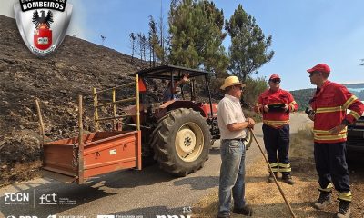 DIVULGAÇÃO

CURSO ONLINE DA ESCOLA NACIONAL DE BOMBEIROS (ENB): “INCÊNDIOS RURAI…
