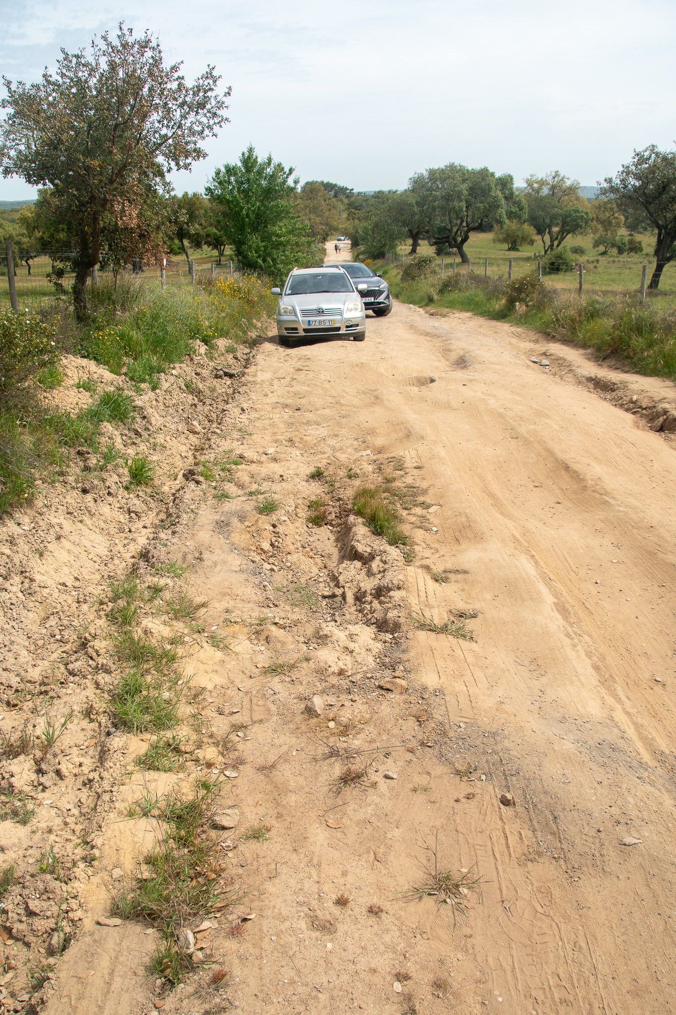 Jerónimo José visita Valverde e Tourega

O vice-presidente da Câmara Municipal d…