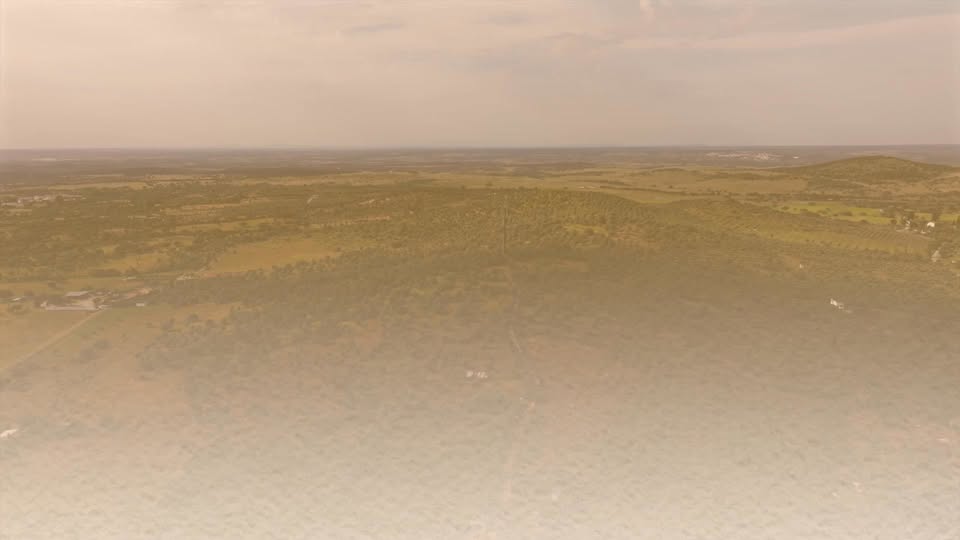 Feira de São Marcos 2026 
23 de abril