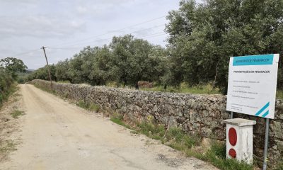 Caminhos agrícolas na Rasa começam a ser pavimentados

Arrancaram as obras de pa…