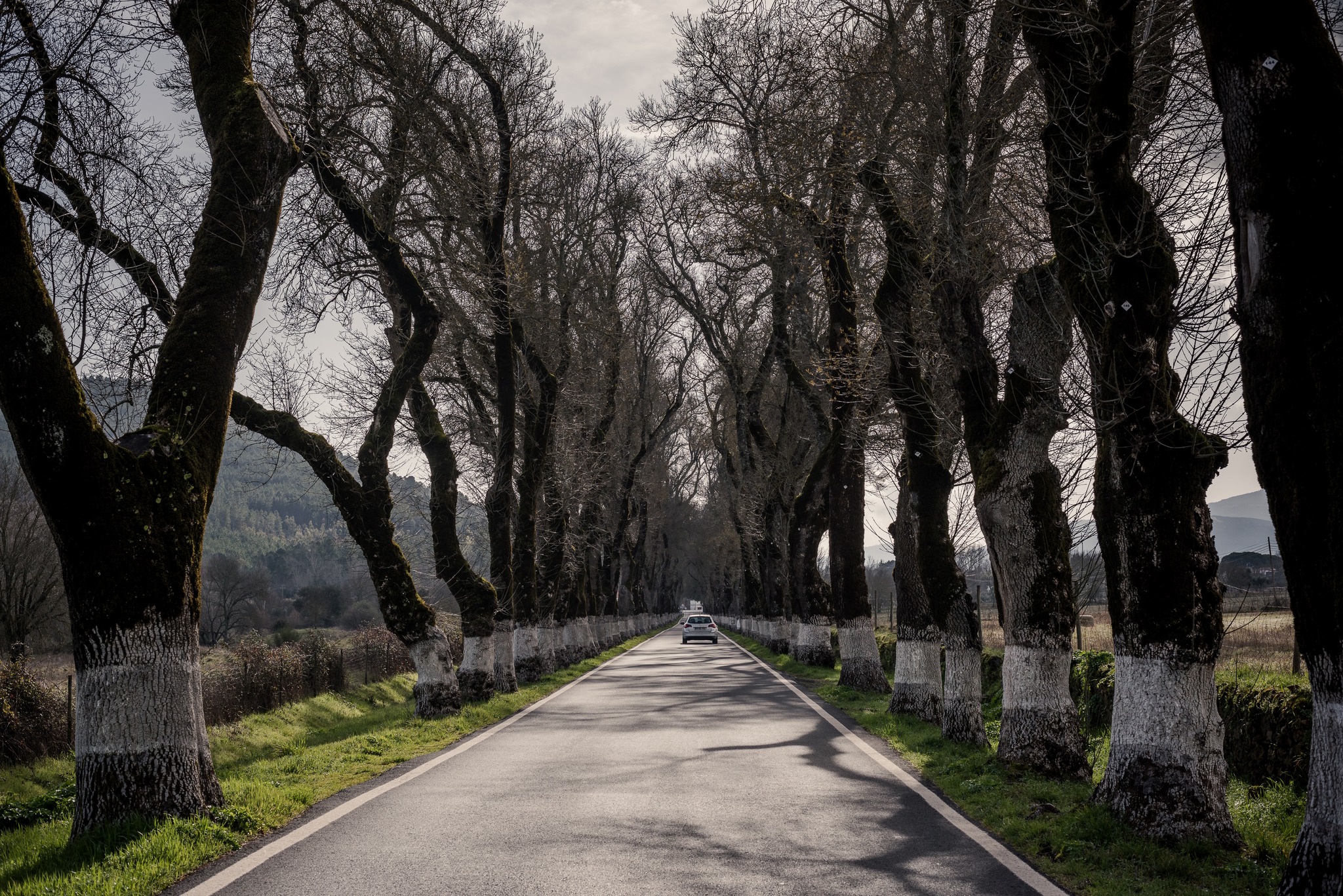 Corte de trânsito na Alameda dos Freixos nos dias 29 e 30 de abril

A Infraestr…