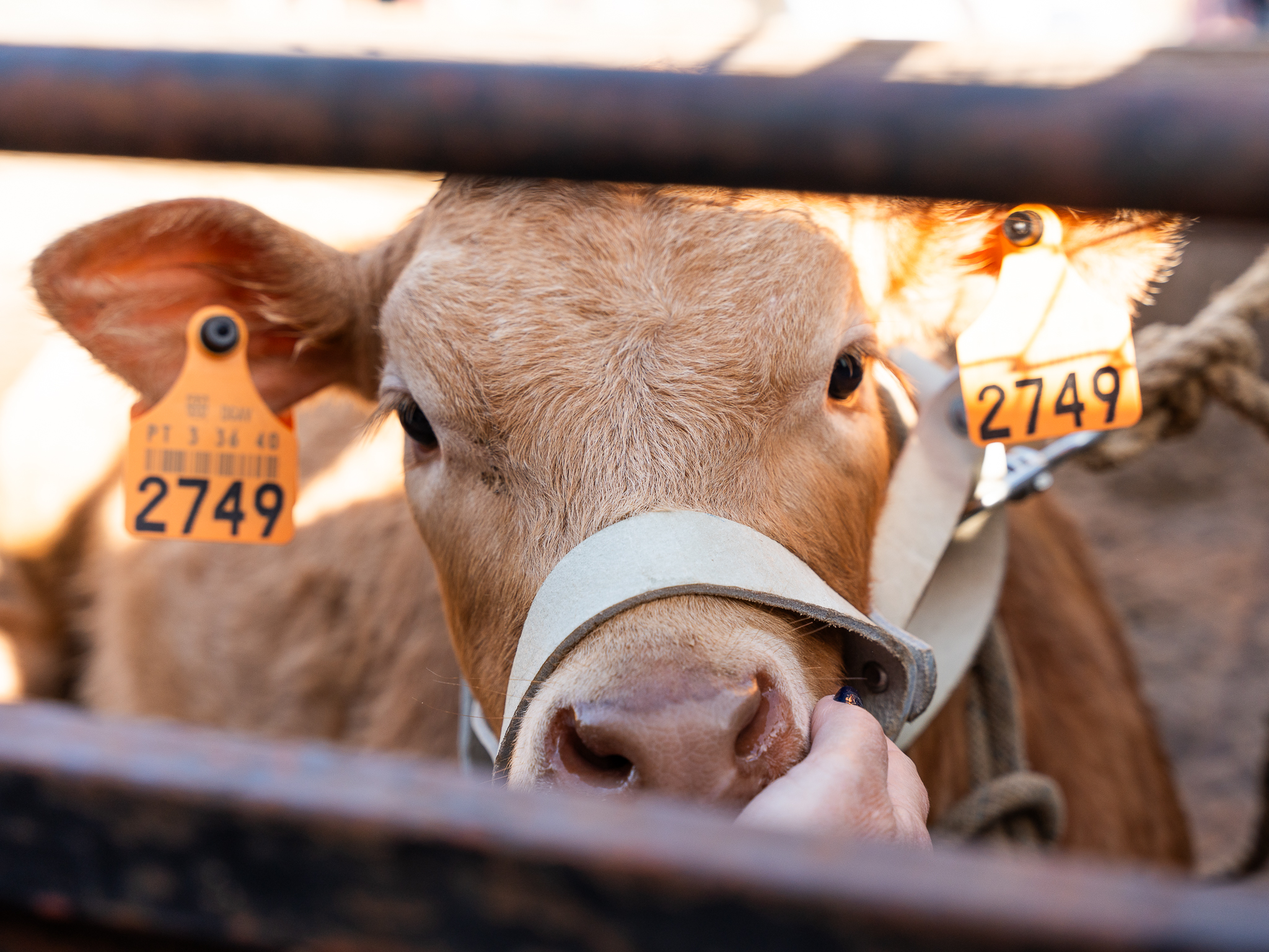 Os comentários foram desativados para esta publicação.