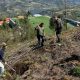 Ação de reflorestação nos Baldios de Oliveira do Douro reforça compromisso ambiental em Cinfães