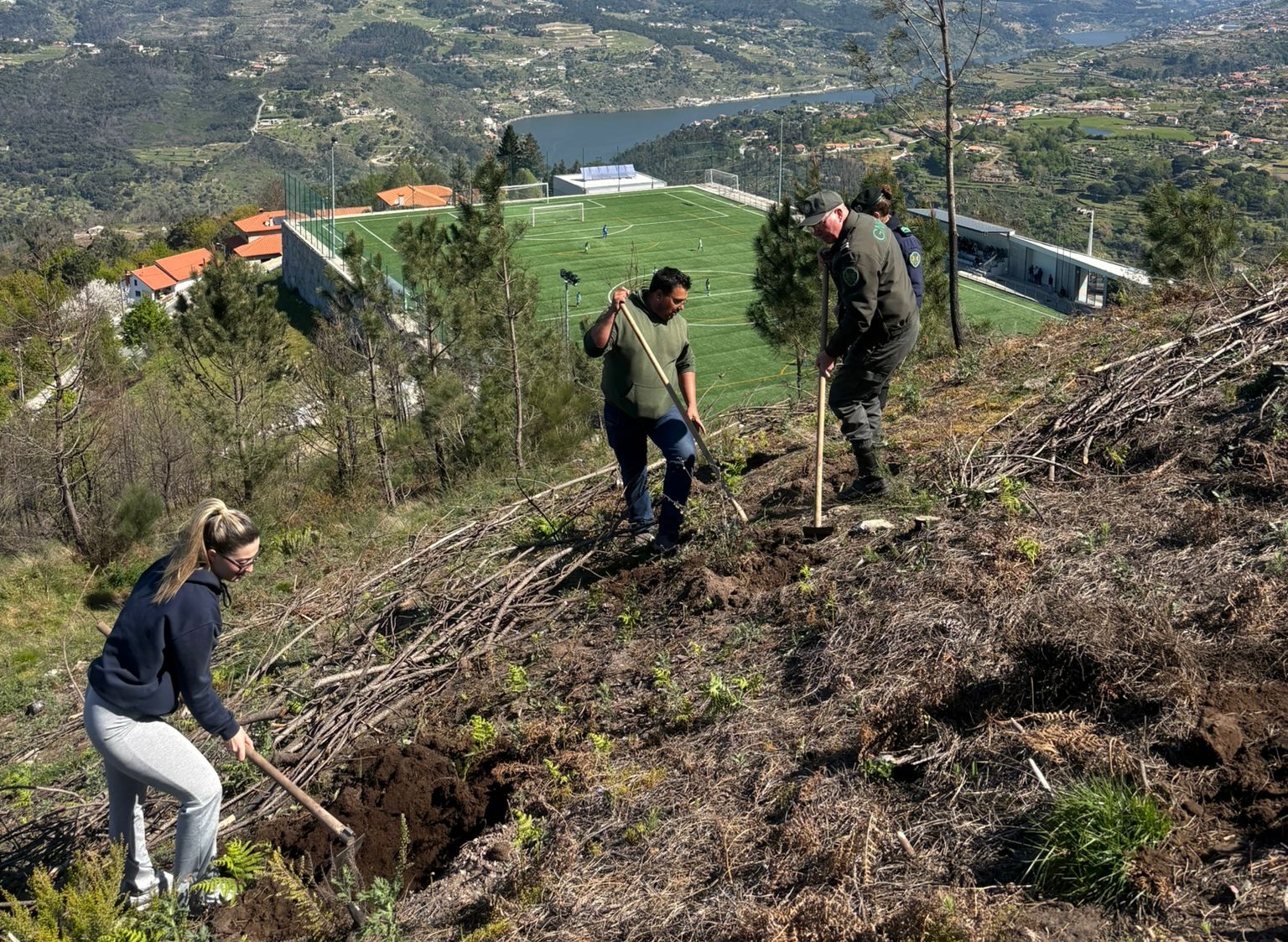 Ação de reflorestação nos Baldios de Oliveira do Douro reforça compromisso ambiental em Cinfães