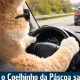 Após o período festivo, o cansaço acumulado e o tráfego
intenso podem aumentar o…