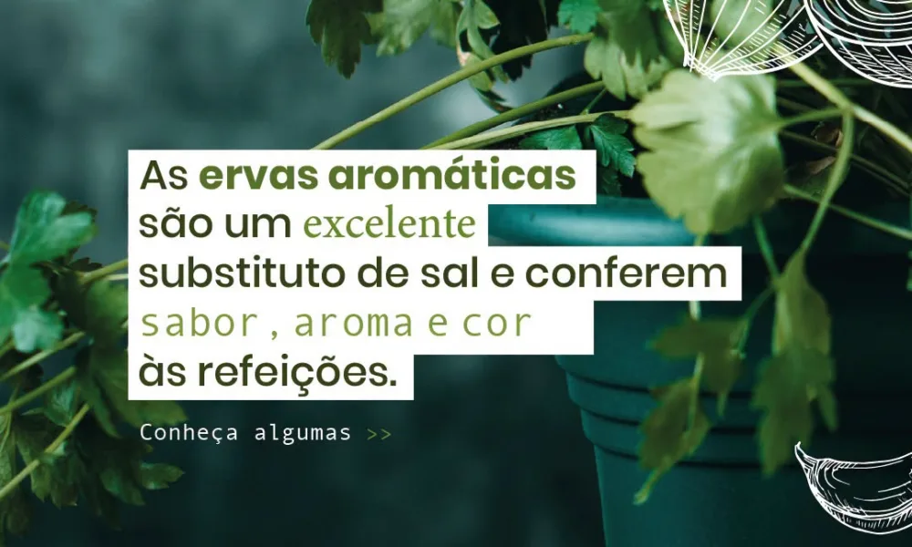 As ervas aromáticas são muito utilizadas em saladas, sopas, marinadas, carnes, …