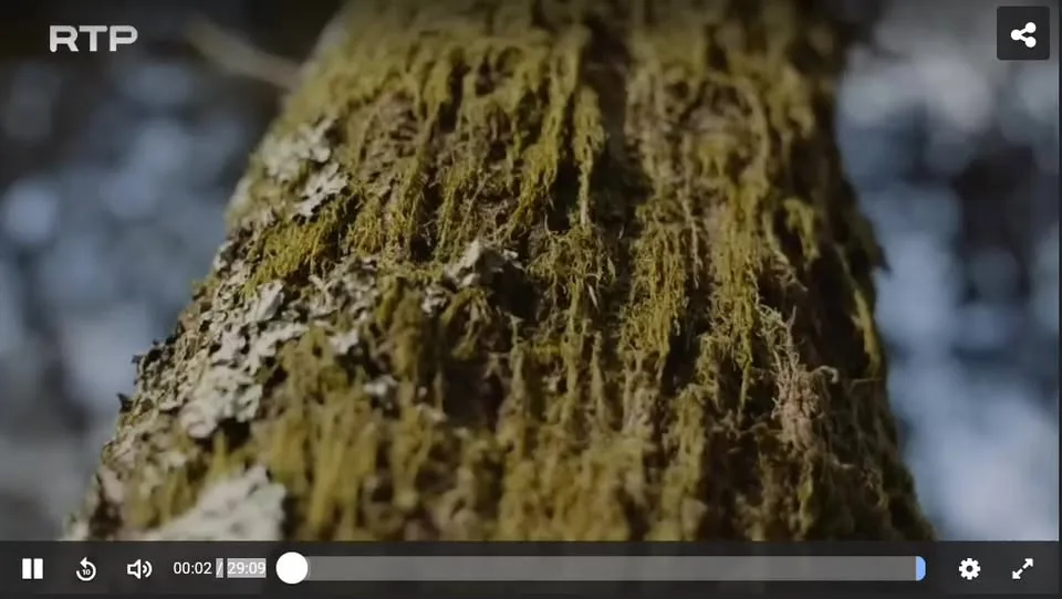 Assista ao mais recente episódio do programa Biosfera, da RTP2, sobre o “Comboio…