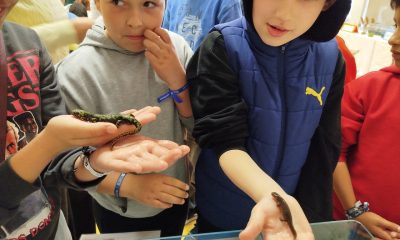 Atividade educativa sobre anfíbios sensibiliza alunos do Centro Escolar de Campelo (Baião)