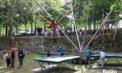 Baião celebrou Dia Mundial da Árvore com 120 alunos do 6.º ano em atividades ambientais e radicais