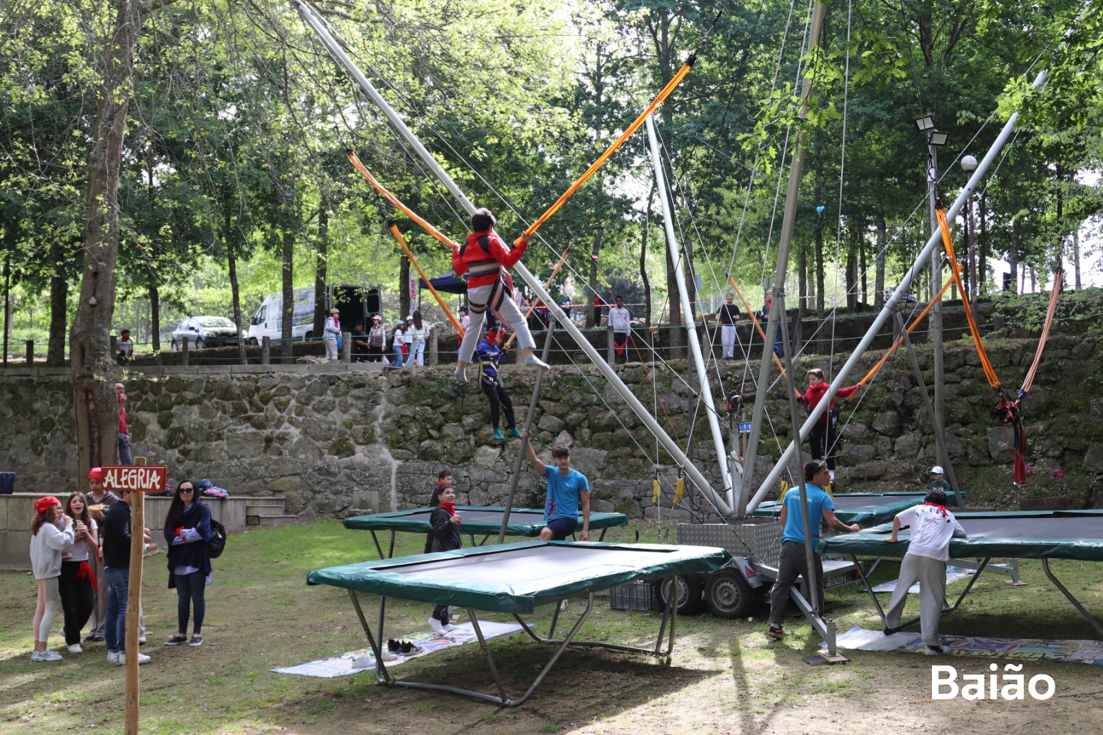 Baião celebrou Dia Mundial da Árvore com 120 alunos do 6.º ano em atividades ambientais e radicais