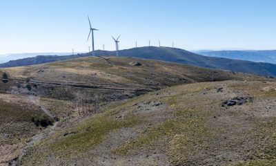 Baião emite parecer desfavorável a projeto fotovoltaico de 21,3 hectares no Penedo Ruivo por incompatibilidade com valores ambientais e patrimoniais