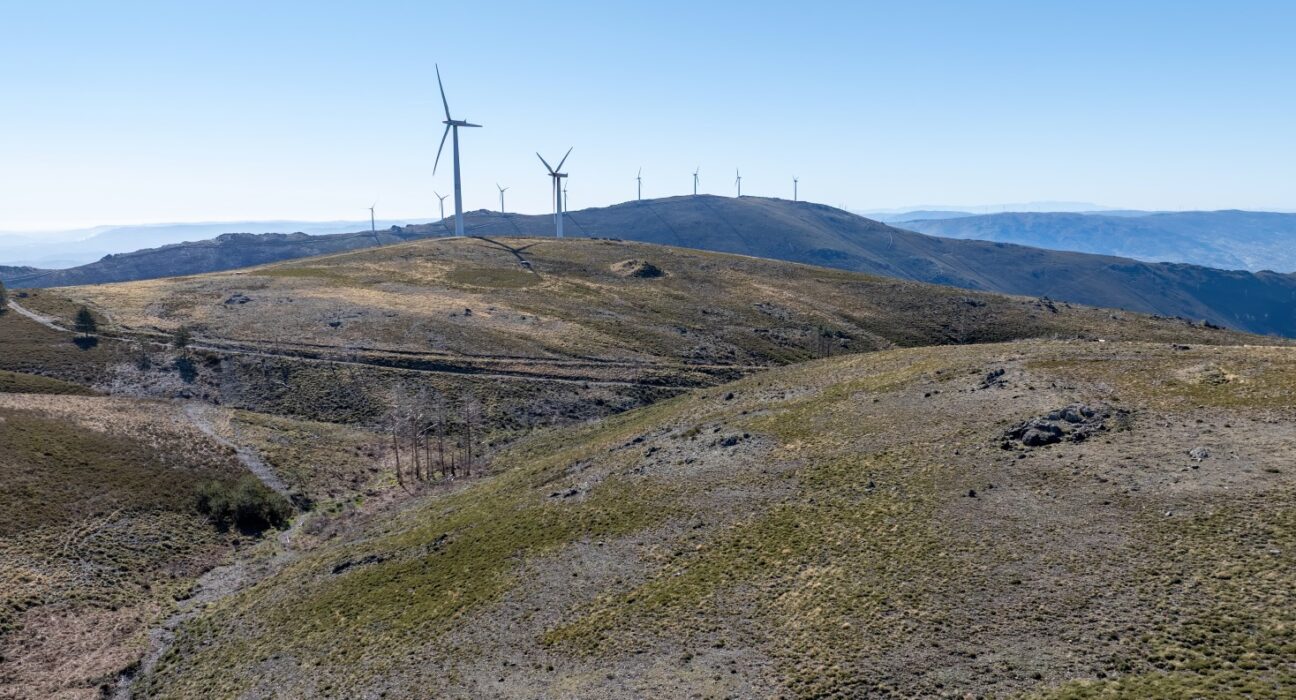 Baião emite parecer desfavorável a projeto fotovoltaico de 21,3 hectares no Penedo Ruivo por incompatibilidade com valores ambientais e patrimoniais