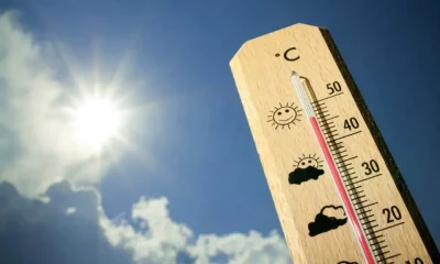 Crise climática: Em 2025 Portugal registou extremos de calor e humidade