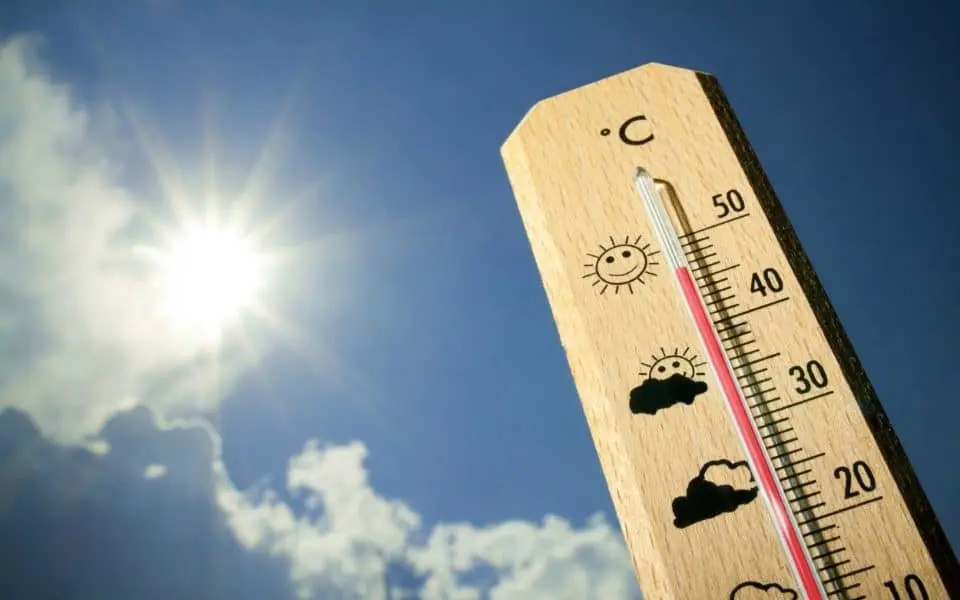 Crise climática: Em 2025 Portugal registou extremos de calor e humidade