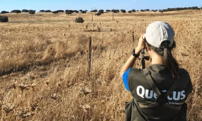 Presença no terreno