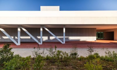 Centro Cultural de Paredes inaugura exposição “A Mulher e a Constituição – 50 anos, 50 artistas, 50 interpretações”