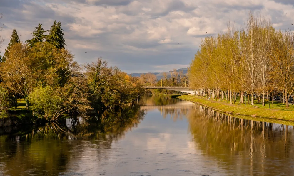 Chaves