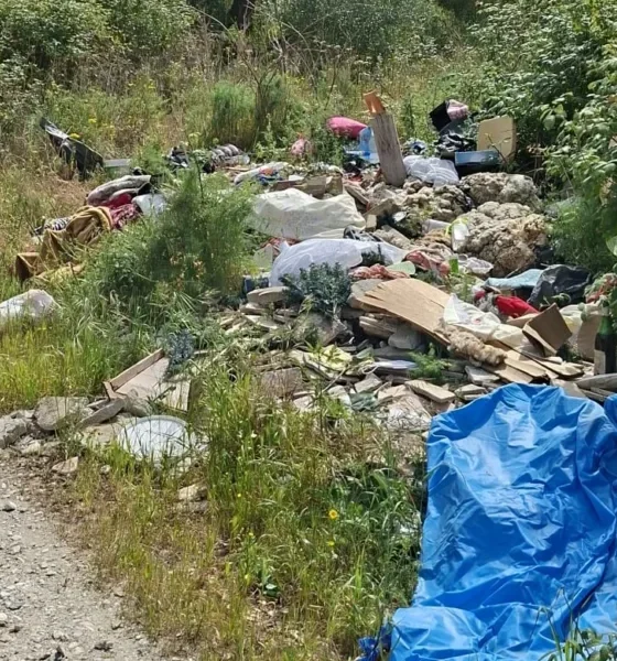 DESPEJO ILEGAL DE DETRITOS JUNTO À MOCAPOR

O Município de Vila Viçosa alerta a …