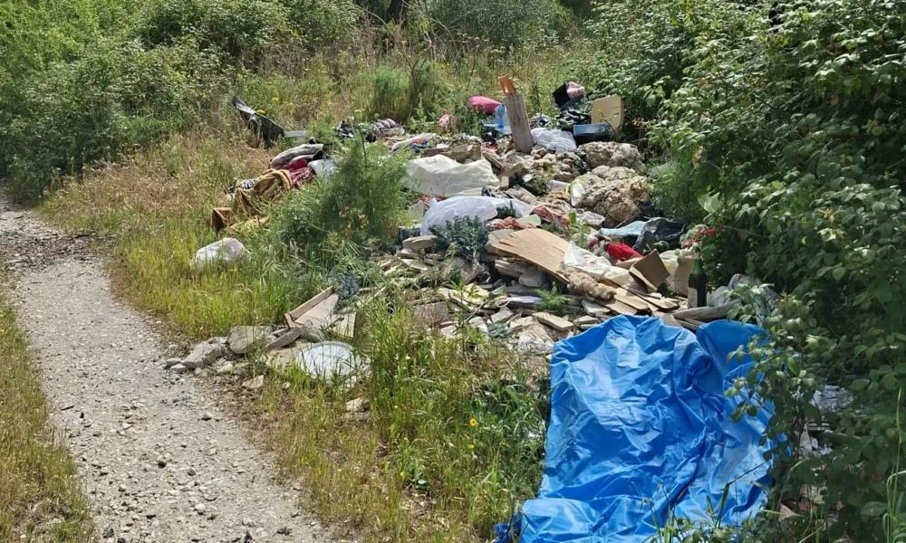 DESPEJO ILEGAL DE DETRITOS JUNTO À MOCAPOR

O Município de Vila Viçosa alerta a …