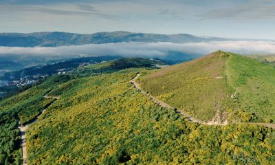Entidade gestora da Paisagem Protegida da Serra da Aboboreira apela à preservação durante o Rali Terras d’Aboboreira