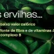 Ervilhas: use esta leguminosa para tornar os seus cozinhados mais coloridos, sab…