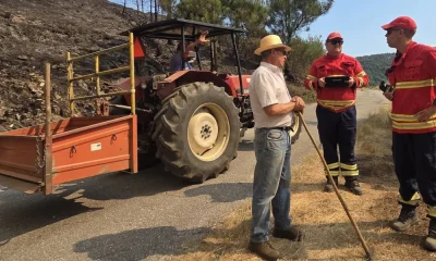 Curso “Incêndios Rurais, o que fazer antes, durante e depois” para todos os cidadãos – Câmara Municipal de Santiago do Cacém
