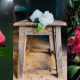 Fotografia “Entre Dois Mundos” vence Prémio de Fotografia “Camellia” da Festa Internacional das Camélias