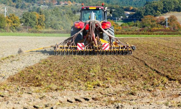 Governo lança apoio a fundo perdido de 20 milhões de euros para modernização de explorações agrícolas afetadas pelas tempestades