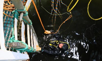 Águas do Douro e Paiva investe 370 mil euros na reabilitação da Captação de Lever Montante