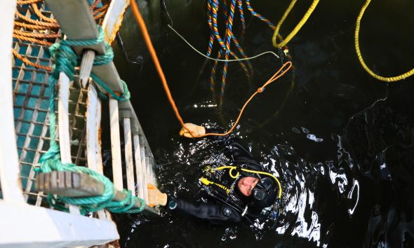 Águas do Douro e Paiva investe 370 mil euros na reabilitação da Captação de Lever Montante