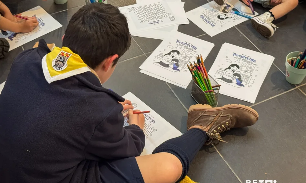 Literatura Infantil | Apresentação do livro “Promovida a Irmã Mais Velha”O Aud…