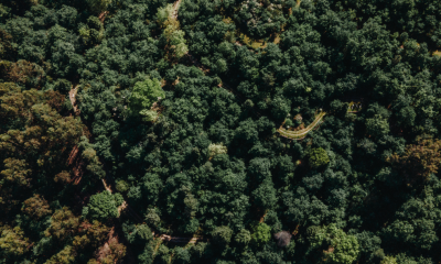 Lousada é único município do Tâmega e Sousa a cumprir os cinco requisitos do Mapa de Ação Climática Municipal