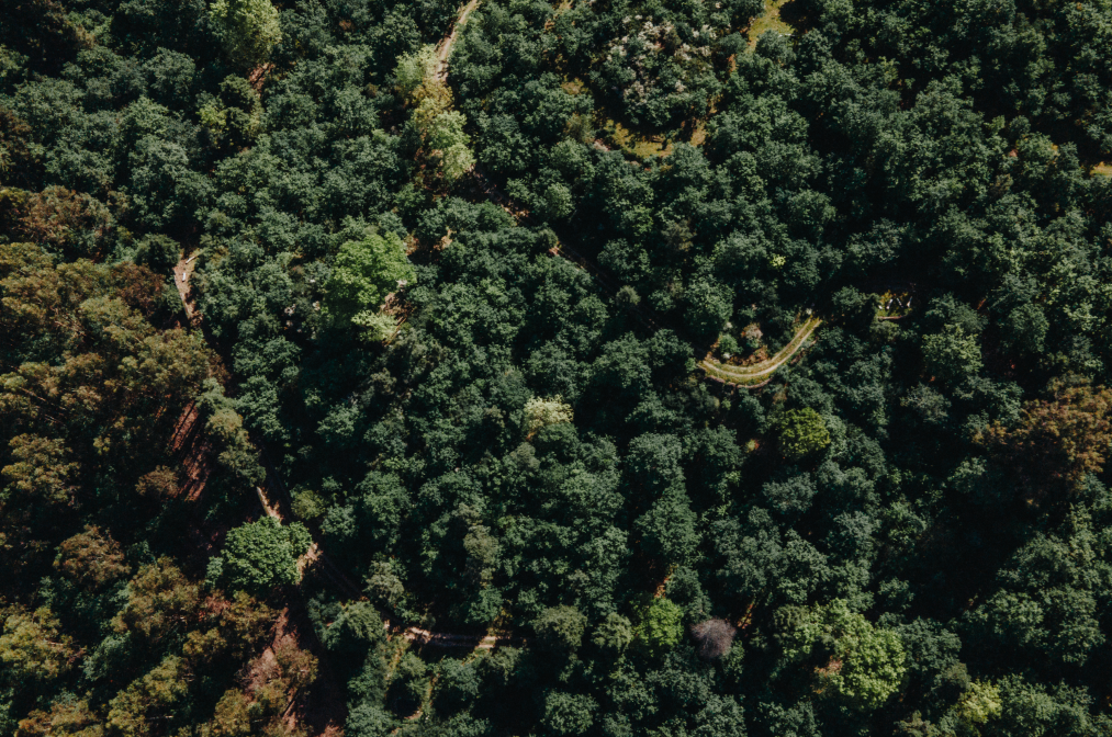 Lousada é único município do Tâmega e Sousa a cumprir os cinco requisitos do Mapa de Ação Climática Municipal