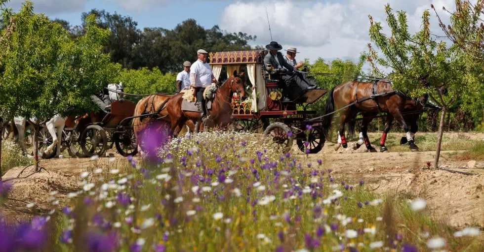 Mais de mil romeiros esperados no sábado em Viana do Alentejo – ODigital.pt