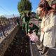 Município de Amarante dinamiza segunda fase do projeto “Frutificar” em 20 escolas do concelho
