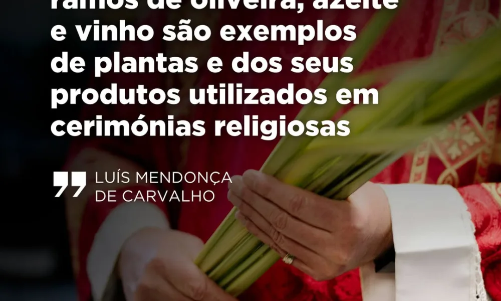 No artigo «As Plantas e os Portugueses – Tradições Religiosas», Luís Mendonça de…