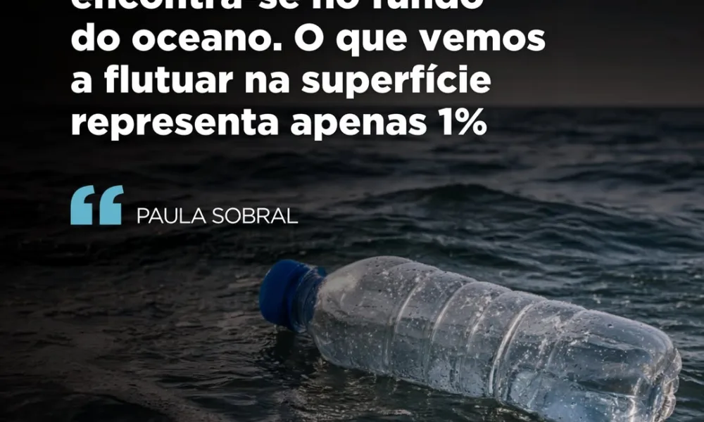 «O lixo plástico que acaba no mar é, em grande parte, consequência de atividades…