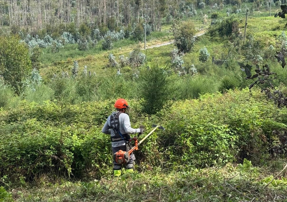 Paços de Ferreira avança com trabalhos de prevenção de incêndios em sete freguesias