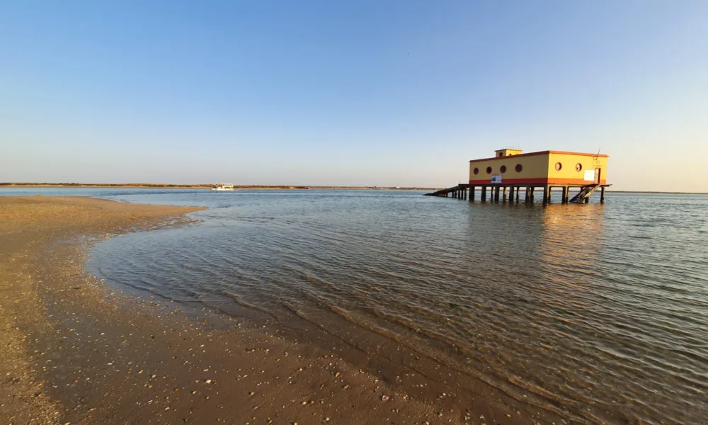 Património do Algarve em destaque: Fuzeta dá um passo importante na sua valoriz…