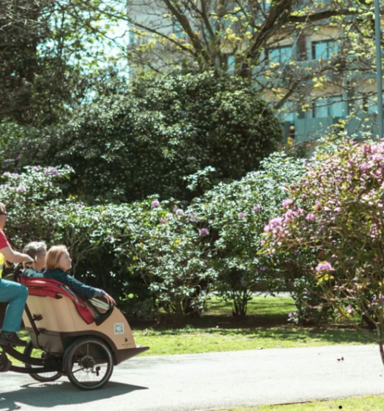 Penafiel dá arranque à Grande Pedalada Grisalha 2026 a 20 de abril