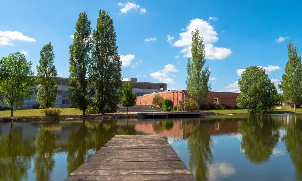 Politécnico de Portalegre lança quatro novas licenciaturas e um mestrado