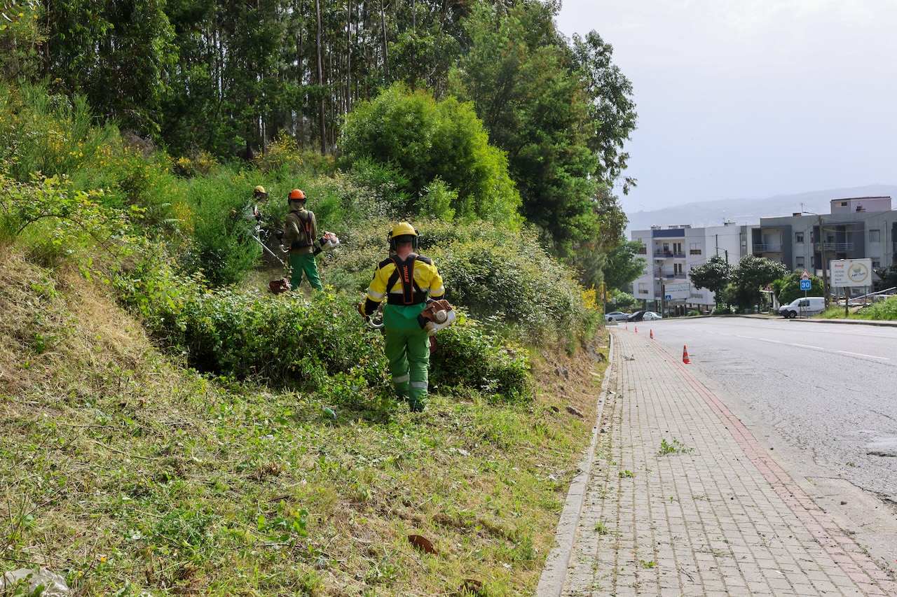 Proteção Civil de Paredes inicia limpeza de matas e terrenos para prevenção de incêndios rurais