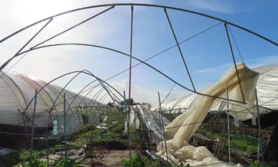 Publicada a Portaria n.º 181/2026, de 21 de abril

Foi aberto o apoio às explor…