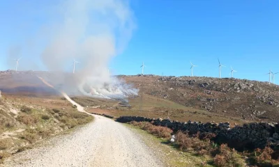 Serra de Montemuro registou 247 hectares de matos geridos por fogo controlado na campanha 2025/2026