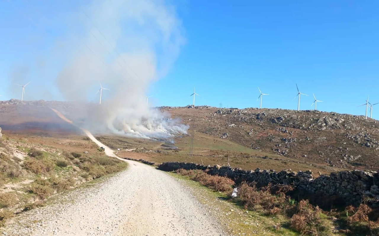 Serra de Montemuro registou 247 hectares de matos geridos por fogo controlado na campanha 2025/2026