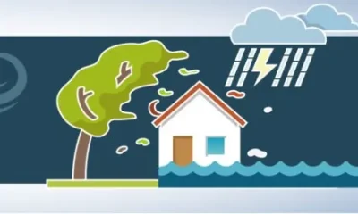 Município de Portalegre