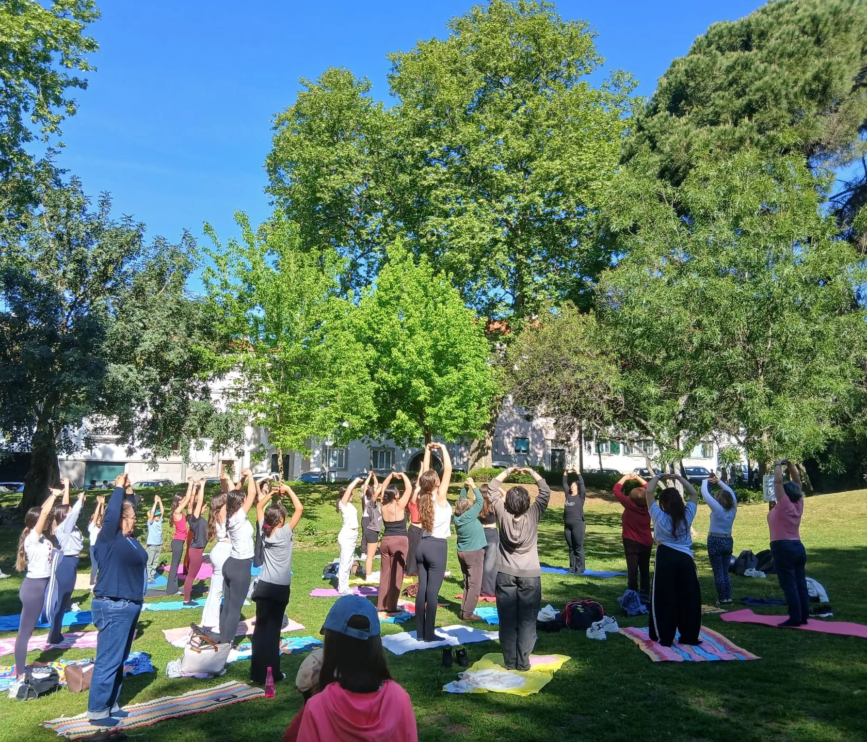 Município de Portalegre