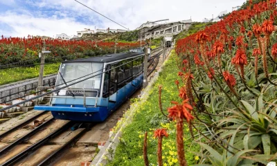 Viagens de ascensor interrompidas no dia 28 de abril com transporte alternativo assegurado