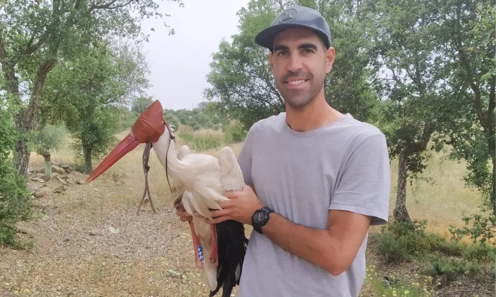 Alumnus da FCUP demonstra que as cegonhas aprendem a explorar aterros